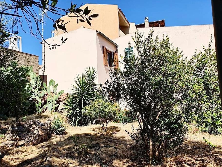 Villetta La Conchiglia La Maddalena  Exterior foto