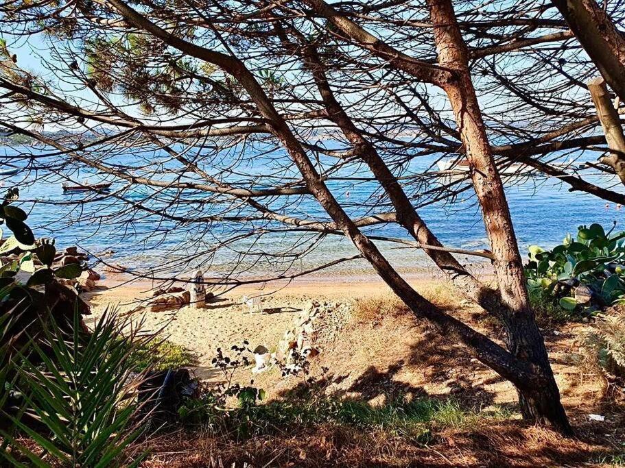 Villetta La Conchiglia La Maddalena  Exterior foto